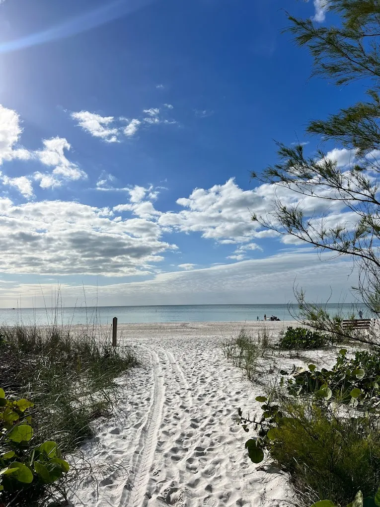 Things To Do on Anna Maria