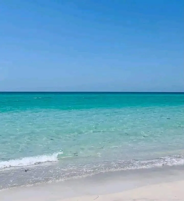 Coquina Beach wave