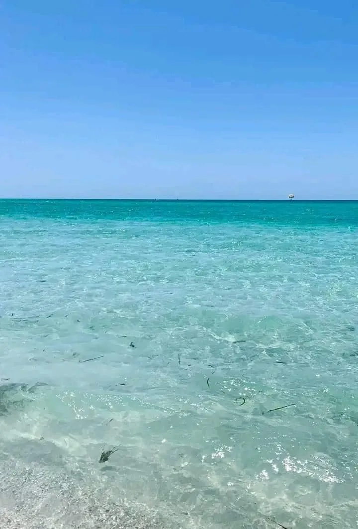 Coquina Beach: Crystal Waters and Culinary Delights