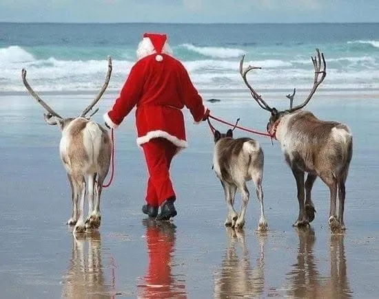 Happy Holidays from Hurricane Hanks !