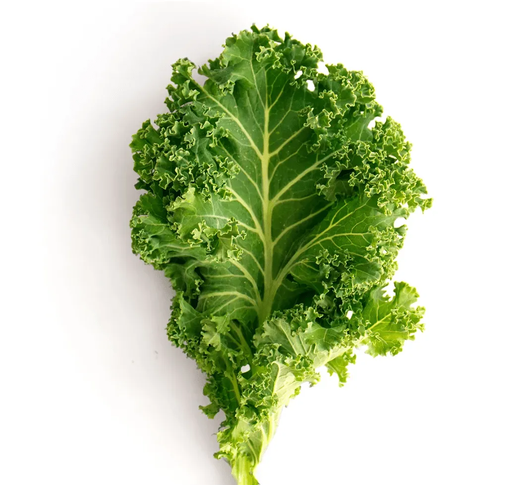 Kale for the best kale salad on Anna Maria