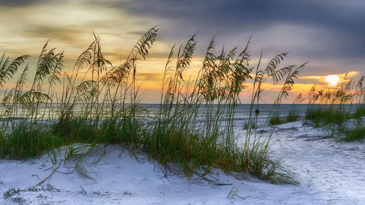Sun-Soaked Fun – Check out Manatee Public Beach